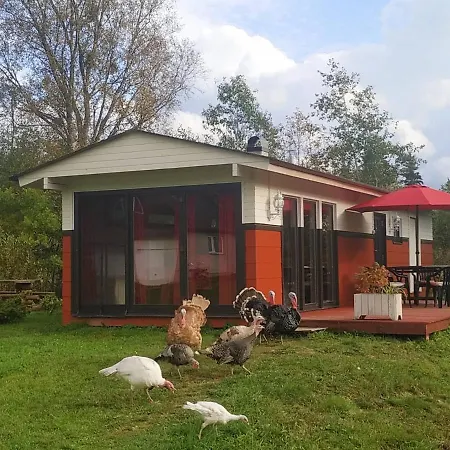 House With Sauna Parila